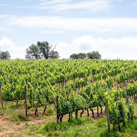 Agriturismo La Carletta Preselle Εξωτερικό φωτογραφία